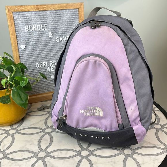 The North Face Other - The North Face Pandora Lilac Grey Small Backpack